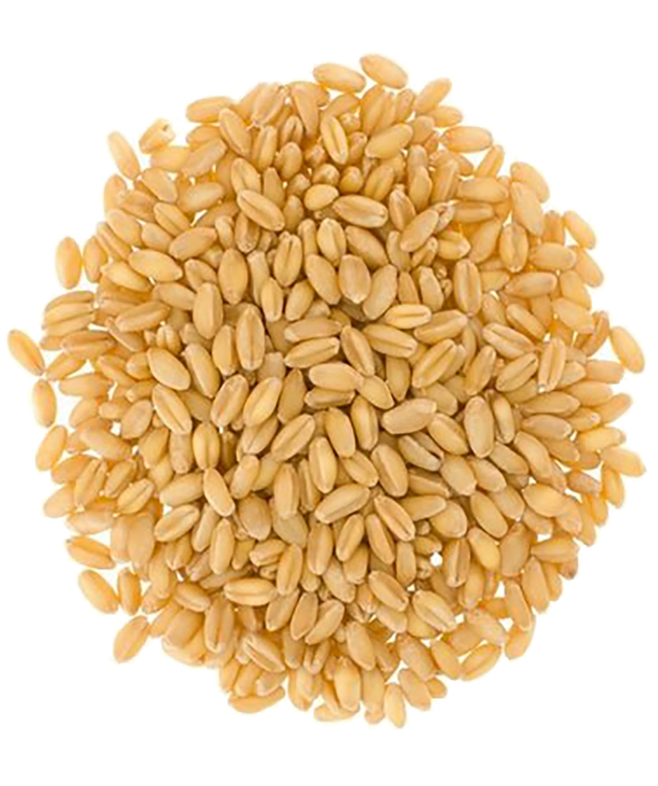 Soft White Wheat Berries | 25 LB Bucket | Certified Glyphosate Residue Free